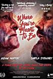 Where You're Meant to Be (2016)