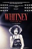 Whitney: Can I Be Me (2017)