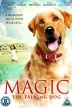 Magic ( 2010 )