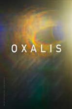 Oxalis (2018)