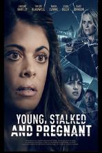 Young, Stalked, and Pregnant (2020)