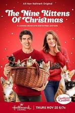 Nine Lives of Holidays (2021)