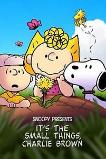 Snoopy Presents: It�s the Small Things, Charlie Brown (2022)