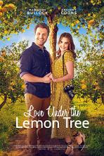 Love Under the Lemon Tree (2022)