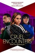 Cruel Encounters (2023)