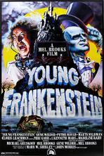 Young Frankenstein (1974)