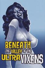 Beneath the Valley of the Ultra-Vixens (1979)