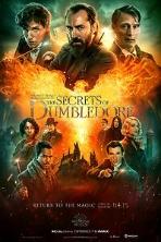 Fantastic Beasts: The Secrets of Dumbledore (2022)