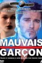 Mauvais garon ( 1993 )