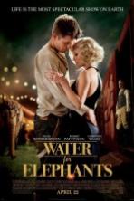 Water for Elephants (2011)