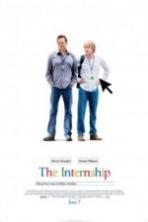 The Internship (2013) Full Movie Watch Online Free