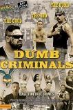 Dumb Criminals: The Movie (2015)