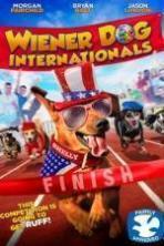 Wiener Dog Internationals ( 2015 )