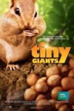 Tiny Giants 3D ( 2014 )