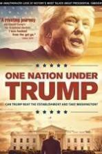 One Nation Under Trump (2016)