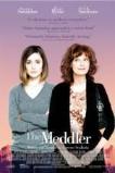 The Meddler (2015)