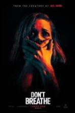 Dont Breathe ( 2016 )