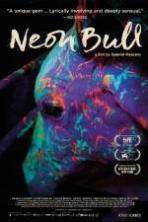 Neon Bull ( 2016 )