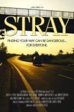 Stray ( 2015 )