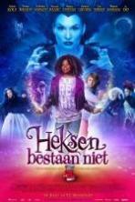 Heksen bestaan niet ( 2014 )