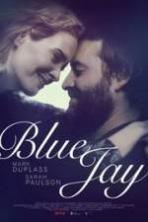 Blue Jay ( 2016 )