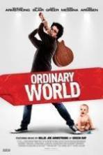 Ordinary World ( 2016 )