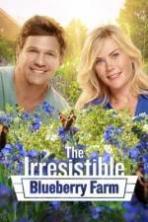 The Irresistible Blueberry Farm ( 2016 )