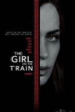 The Girl on the Train (2016)