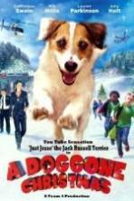 A Doggone Christmas (2016)