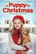 A Puppy for Christmas (2016)