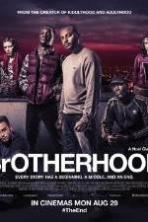 Brotherhood ( 2016 )