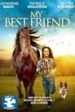 My Best Friend ( 2016 )