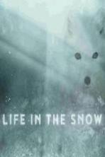 Life in the Snow ( 2016 )