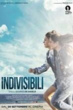 Indivisible ( 2016 )