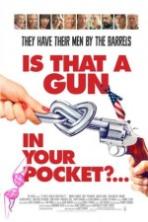 Is That a Gun in Your Pocket? (2016)