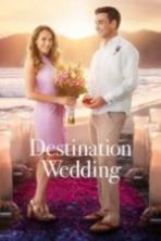 Destination Wedding (2017)