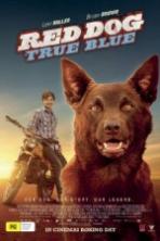 Red Dog True Blue (2016)