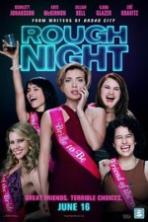 Rough Night ( 2017 )