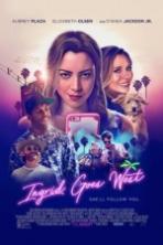 Ingrid Goes West Full Movie Watch Online Free