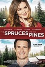 Spruces and Pines (2017)