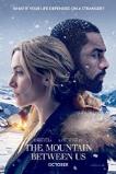 The Mountain Between Us (2017)