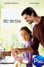 Mr. Write ( 2016 )