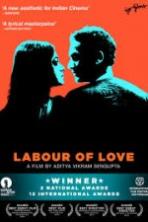 Labour of Love (2015)