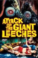 Attack of the Giant Leeches (1959)