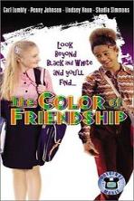 The Color of Friendship (2000)