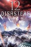 The 12 Disasters of Christmas (2012)