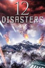 The 12 Disasters of Christmas (2012)