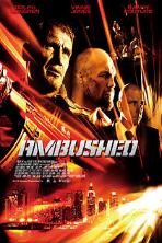 Ambushed (2013)