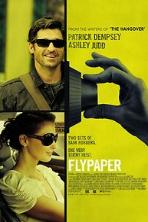 Flypaper (2011)