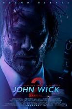 John Wick: Chapter 2 (2017)